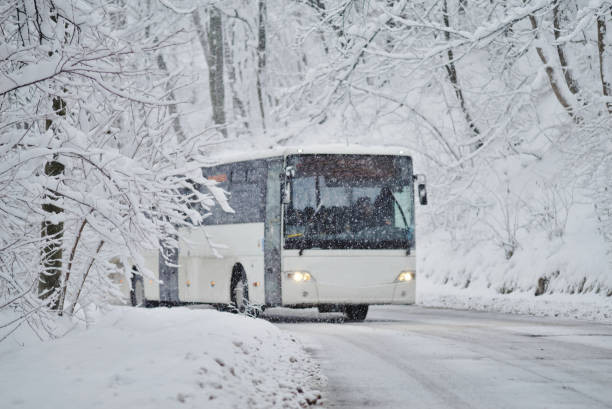 passazirskie-perevozki-arenda-avtobusov-mikroavtobusov-big-2