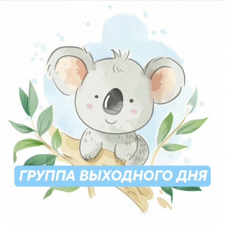 gruppa-vyxodnogo-dnia-na-baze-detskogo-sada-koalamama-15-6-let-big-7