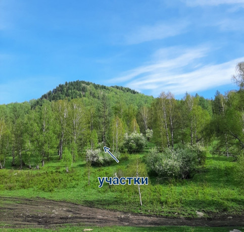 ucastok-75-sot-v-gorax-altaia-u-recki-v-dali-ot-civilizacii-big-11