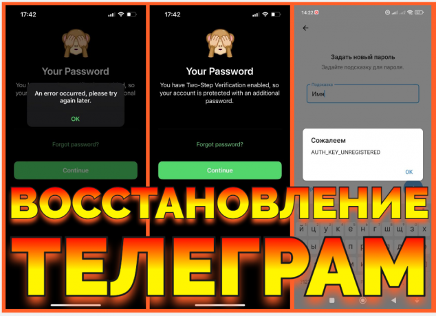 usluga-vosstanovit-akkaunt-v-telegram-zabyl-oblacnyi-parol-big-3