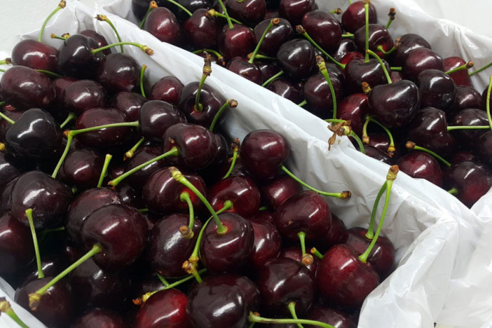 kivi-tomaty-ogurcy-vinograd-drugie-frukty-optom-iz-irana-big-0