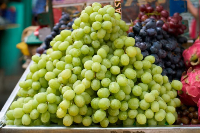 kivi-tomaty-ogurcy-vinograd-drugie-frukty-optom-iz-irana-big-1