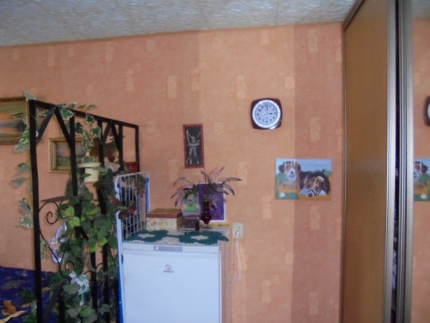 prodaetsia-3x-komnatnaia-kvartira-peterburgskoe-sosse-big-2
